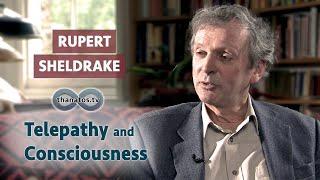 Telepathy and Consciousness | An Interview with Rupert Sheldrake