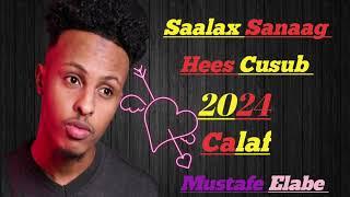 ||Saalax Sanaag ||Hees Cusub ||Calaf ||2024||...