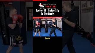 Sector 3b. Counter punching. B stands for body.