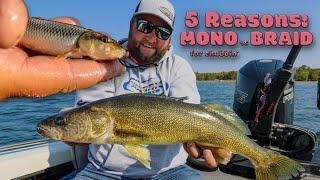 Mono vs braid: Rigging BIG chubs for fall walleyes