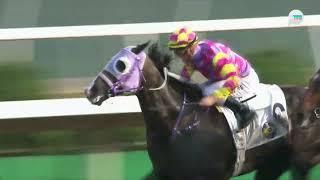 2024/25 (026) - Super Win Dragon (勝意龍) - 潘頓賽日四 Wins (評分有利強配路合僅勝)