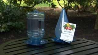 Perky-Pet® Water Cooler Bird Waters Instructional Video | Bird Accessories