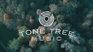 August Folk Compilation | Tone Tree Music