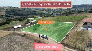 Çatalca Çanakça Köyünde Satılık Tarla 2006 m2