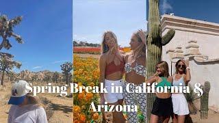 SPRING BREAK IN CALIFORNIA AND ARIZONA