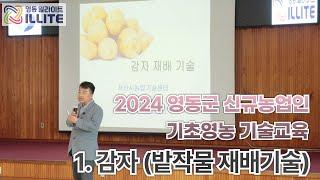 밭작물 재배기술 1.감자   (기초영농기술) 영동군 농업 기술센터