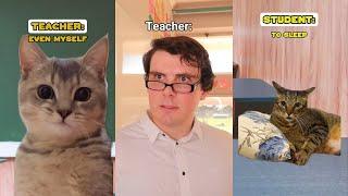 Laugh OUT LOUD in 8 Minutes with These HILARIOUS Moments! | CAT MEMES @Ryanhdlombard Compilation #3