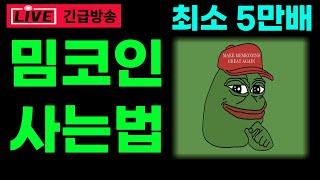 밈코인 사는 방법 1부터 10까지 알려드립니다.