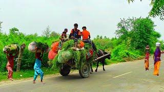 The Villagers Live Their Lives In This Manner || Daily Routine In India #upvillage #daily #india