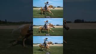 The BEST horse riding FPS Test! 60fps vs 1000fps #slowmotion #fps #vs