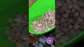 Clazkit Multi-Purpose Strainer or Washer Bowl #unboxing #wenodh #we_nodh