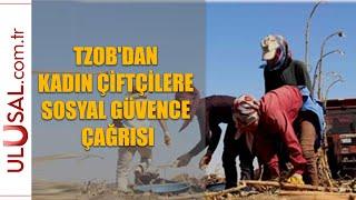 TZOB'dan kadın çiftçilere sosyal güvence çağrısı