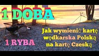 1 DOBA. Jak wymienić kartę wędkarska Polską na Czeską @DKARPIO #fox #fish #fishing #karpfenangeln