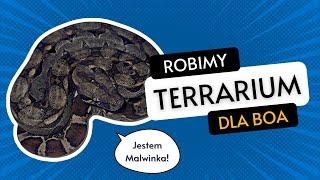 Robimy TERRARIUM dla węża BOA IMPERATOR! Skalna ścianka | oświetlenie