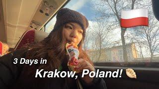 Krakow Winter Solo Travel Vlog – Pierogi, History & Christmas Markets - Why I Loved Poland! Euro #7