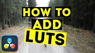 How To ADD LUT in Davinci Resolve 19 (tutorial)