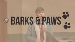 b a r k s & p a w s