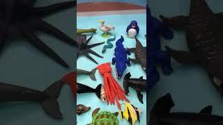 Dive Into Aqua World: Puffer, Clown, Eel, Goldfish, Seahorse, #dolphin #shark #starfish