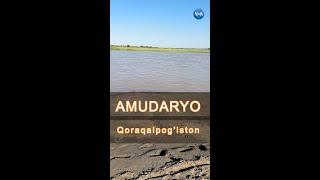 Bugungi Amudaryo, Qoraqalpogiston - #AmuDarya #karakalpakstan #uzbekistan