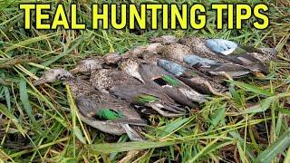 Teal Hunting Tips | Hunting Boot Camp