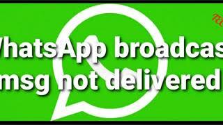 whatsApp broadcast messages not delivered problem solved