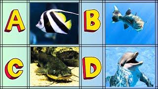 A to Z Ocean Creatures Phonics Song | Fun and Educational Kids Song with Sea Animals