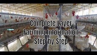 Layer Poultry Farming Full Details / Complete Layer Poultry Farm Information Step by Step in India