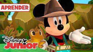 MICKEY & YO: El zoo  | APRENDER CON MICKEY | @DisneyJuniorES