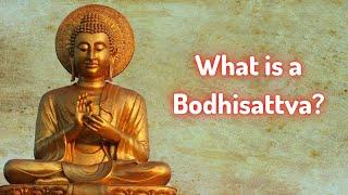 What is a Bodhisattva?