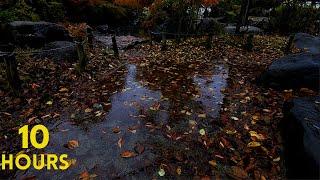 Slaapverwekkende regengeluiden in de Japanse tuin / Witte ruis voor een diepe slaap