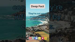 Deep Facts #facts #fact #factshorts #factsdaily #factsshorts #factvideo #deepfact #deepfacts