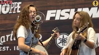 Watch Live Bluegrass On The Acoustic Shoppe Stage! | IBMA Day 4!