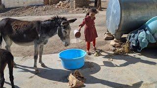 Marjan's confusion due to the absence of a shopkeeper and fear of the village