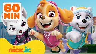 PAW Patrol Girl Power Rescue Hour! w/ Skye, Sweetie & Everest! | Nick Jr.