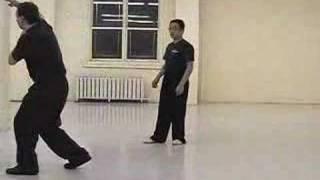 Ba Gua (Baguazhang, Bagua)  Applications---Master Hai Yang