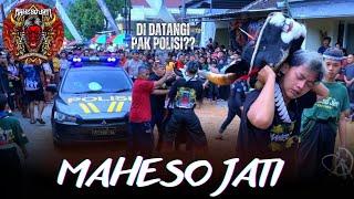 Mberot diJalan Pak Polisi Datang?? MAHESO JATI Edisi Kalap Ngamok,, Live Tejosari, Singosari