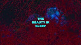 THE BEAUTY IN SLEEP [Visuals]