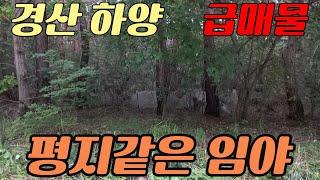 하양택지지구3-5분거리 2차선접한 평지같은 준보전산지 임야