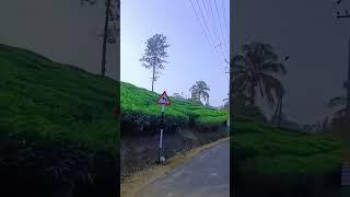 kerala beautiful village|Kerala morning village view|morning time Kerala Village|#KeralaVillage