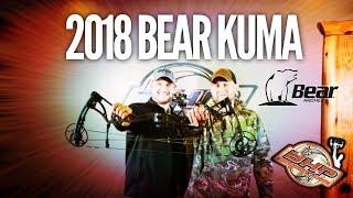 BEAR KUMA Bow Review