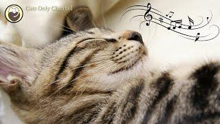 Calming Music for Cats  Relaxing Cat Music Mix  Calm Piano Music