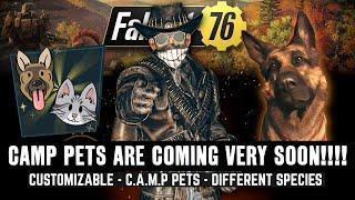 Fallout 76 - CAMP PETS ARE COMING Sooner Than You Think!!!!