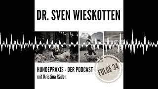 Training: Seehund vs. Hund - Dr. Sven Wieskotten - Hundepraxis - der Podcast