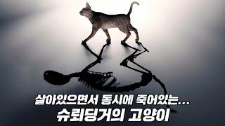 고양이가 살아있으면서 죽어있는 게... 양자역학에선 가능하다고? 슈뢰딩거의 고양이!