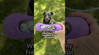 What I Put In My FreezeBone | The Pack