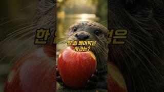한 입 베이먹은 사과는? #넌센스 #퀴즈 #아재개그 #유머