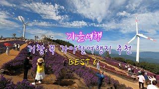 거창 꼭 가야할 가을여행지추천 BEST6#감악산꽃별여행#아스타국화#우두산출렁다리#수승대#감악산풍력단지#거창창포원#황산마을돌담길#갈계숲#거창가볼만한곳#경남여행