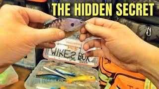 Striper Fishing Rig SO SIMPLE it changes EVERYTHING! Live Bait Cut Bait and Lures! Stop losing Fish!