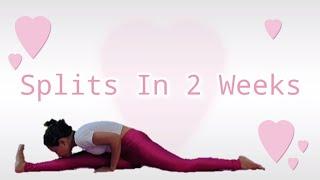 How To Get The Splits Fast | How To Get Splits Fast For Beginners | How To Get Splits in 2 Weeks