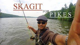 SKAGIT CASTING FOR PIKE!